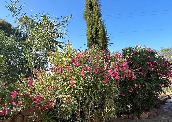 Tenuta Eike Appartamento